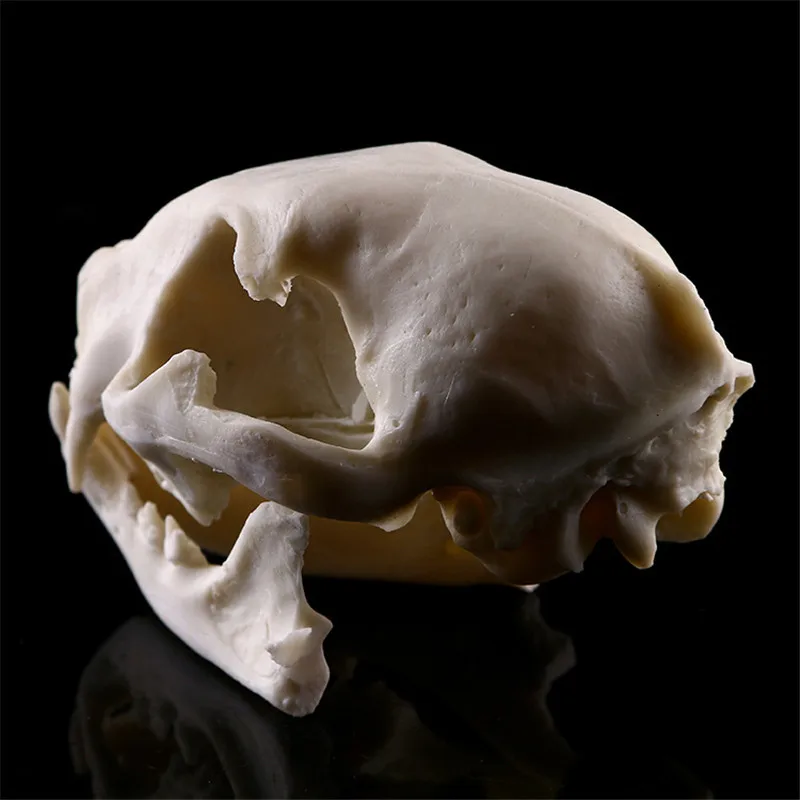 2915416620_509990420