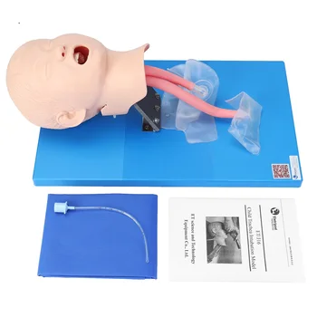 

Intubation Manikin Study Teaching Model Child Children Airway Management Trainer First Aid Simulation Man Trachea Model
