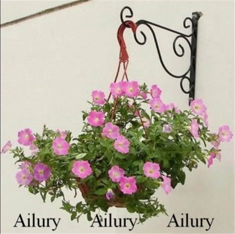 

European Style Wall Hanging Flower Stand Gardening Simple Wrought Iron Hook Balcony Orchid Bracket Hanger