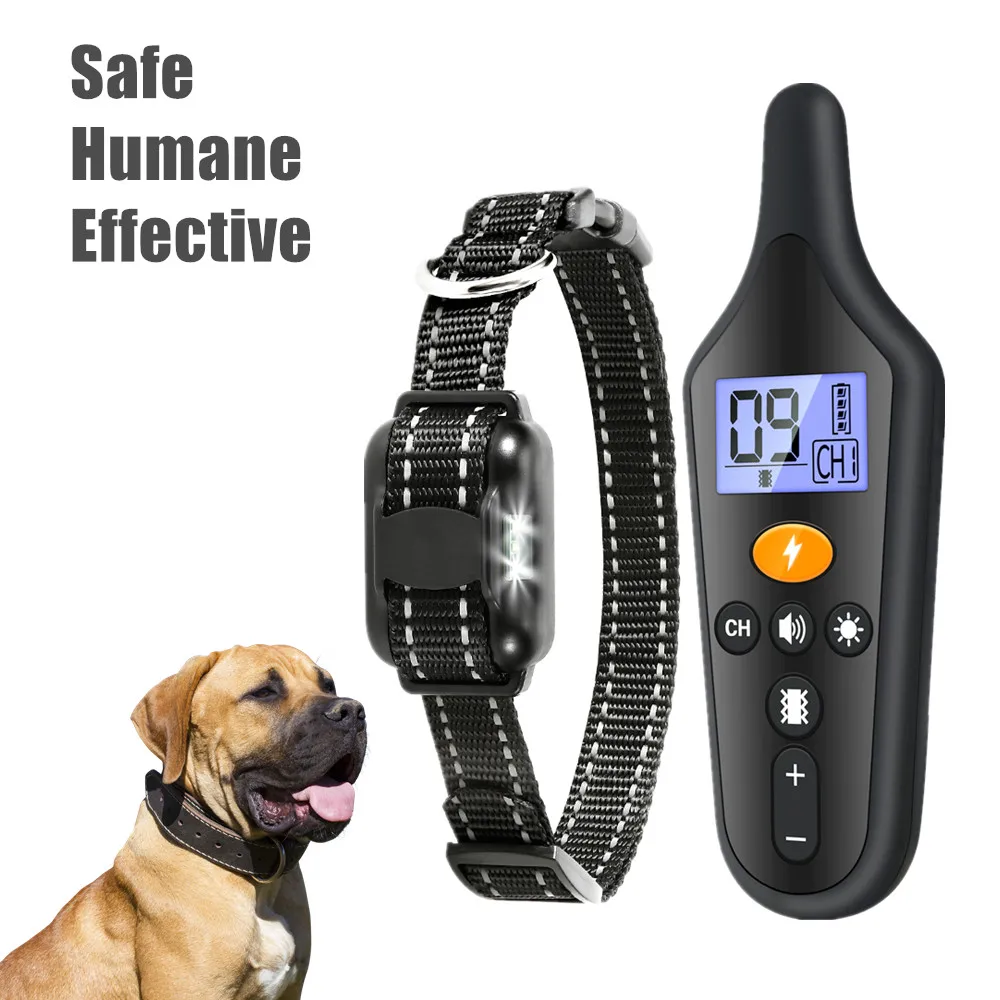 Electric Shock Using A Training Collar On A Puppy Electric Dog