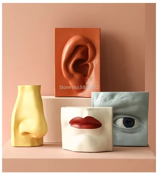 

Nordic Style Creative Morandi Color Facial Features Resin Vase Living Room Flower Arrangement Modern Decoration Ornaments Nose