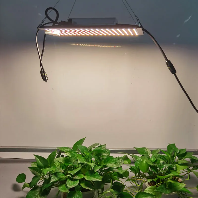 grow lighting with meanwell transformer
