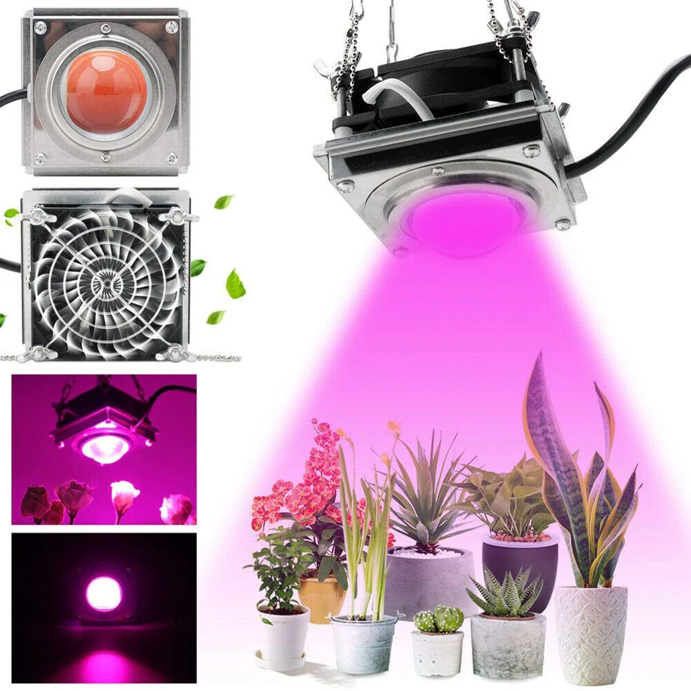 Ed 50w Grow Light Full Spectrum Cob Hydroponic Flower Plant Phyto