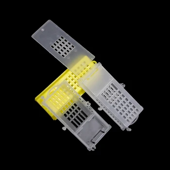 

2PCS Queen Bee Post Cage Transparent Move Transmit Mail Box Insect House Plastic Rearing Tools Beekeeping Equipment Supplies
