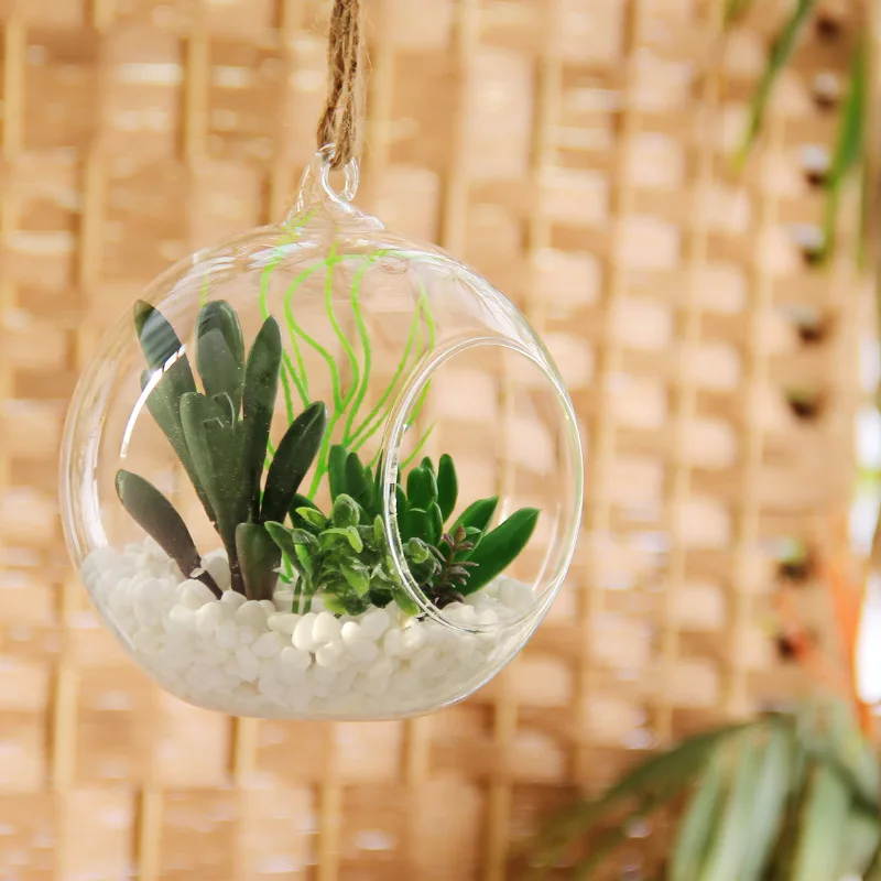 Стеклянный террариум диаметр = 10 см|Декоративные мячи| |