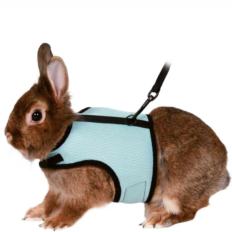 Correas pequeñas de conejo para mascotas, ropa de tracción, arnés de pecho, ardilla, hámster, conejillo de indias, accesorios para mascotas