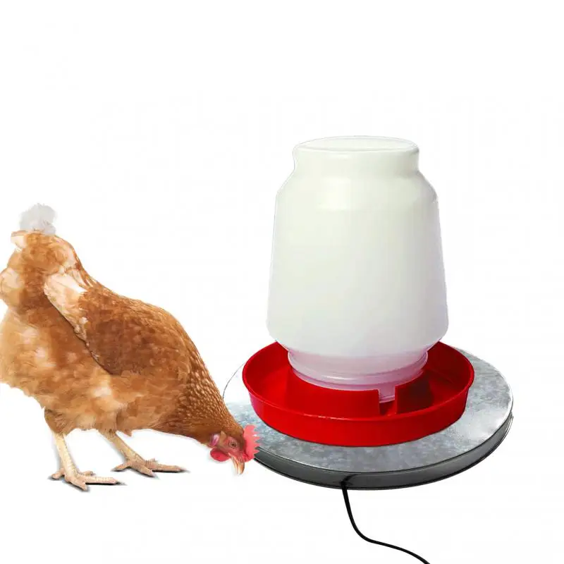 Chauffe-eau automatique pour animaux domestiques chauffage pour l'hiver température constante 30 °C sol chauffé abreuvoir à volailles en métal abreuvoir à volailles poules 125 W 