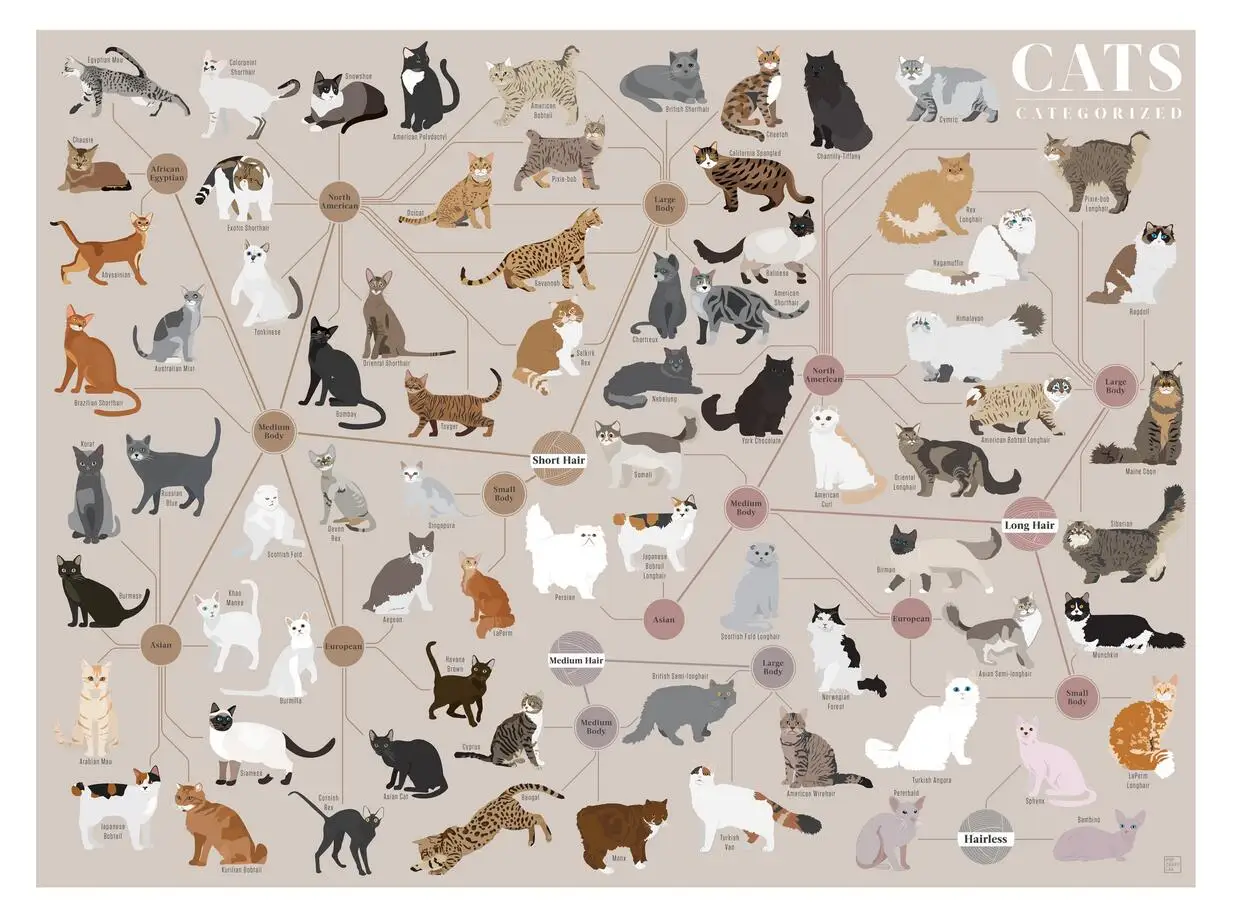 

Кошки, Шелковый плакат с художественным принтом 24x36 дюймов
