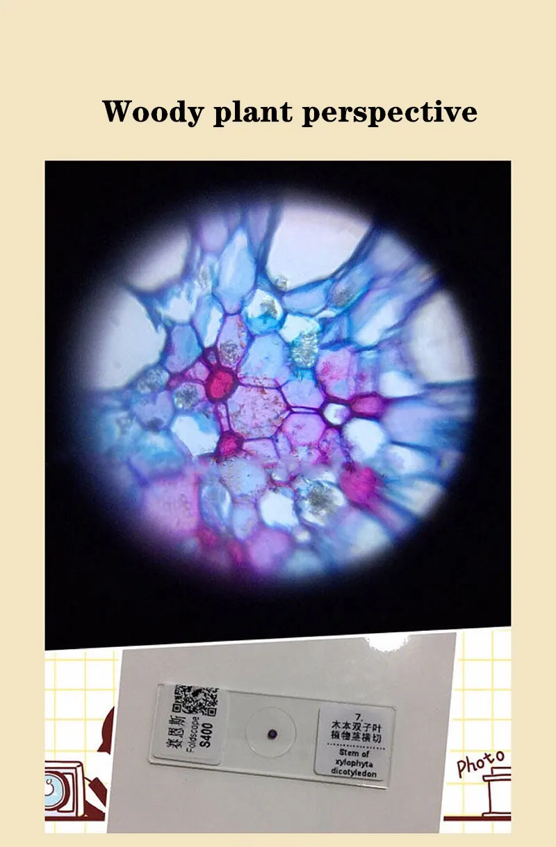 Творческий Биологический микроскоп 500X/400x/200X Портативный Лупа эндоскоп открытый школьный научный эксперимент образовательный инструмент