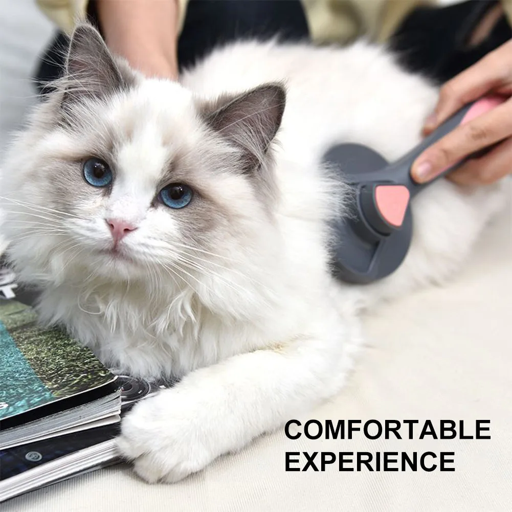 Brosse de Massage pour animaux de compagnie, peigne