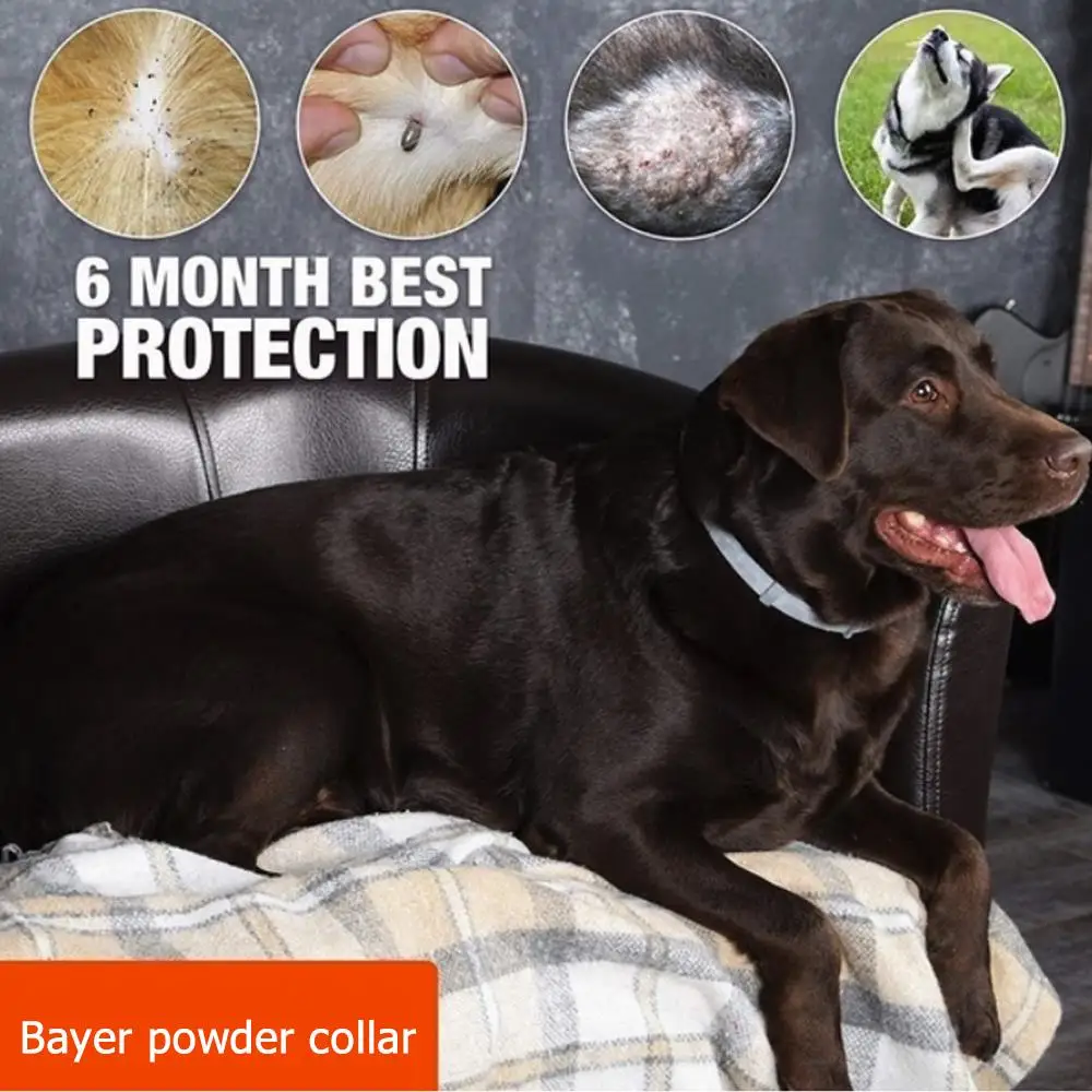 Серый резиновый ошейник для собак домашних животных прочный защиты от насекомых