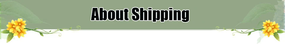 shipping