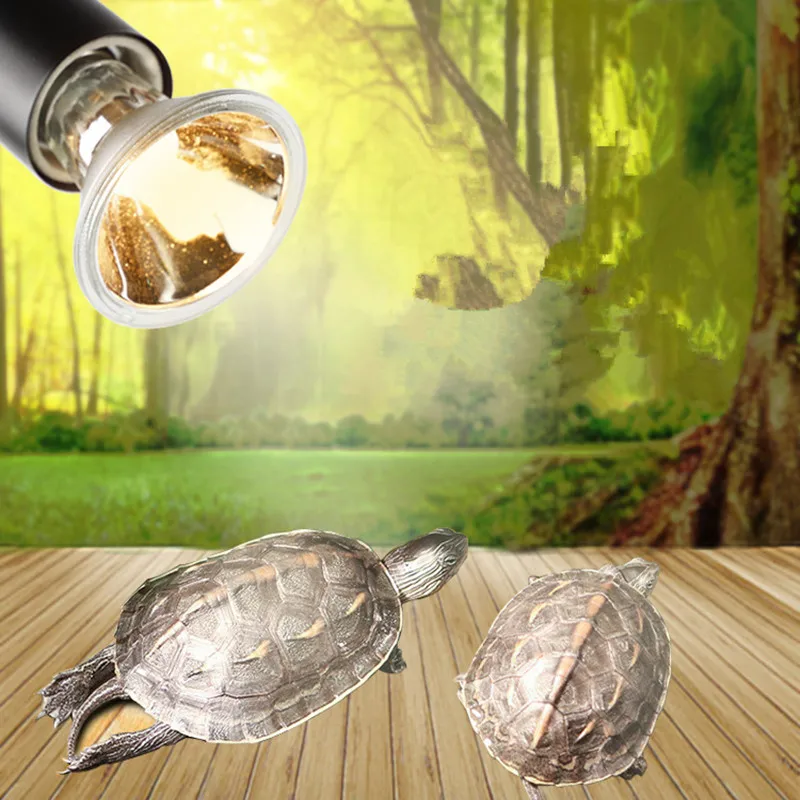 11002371089_51623344 (1)