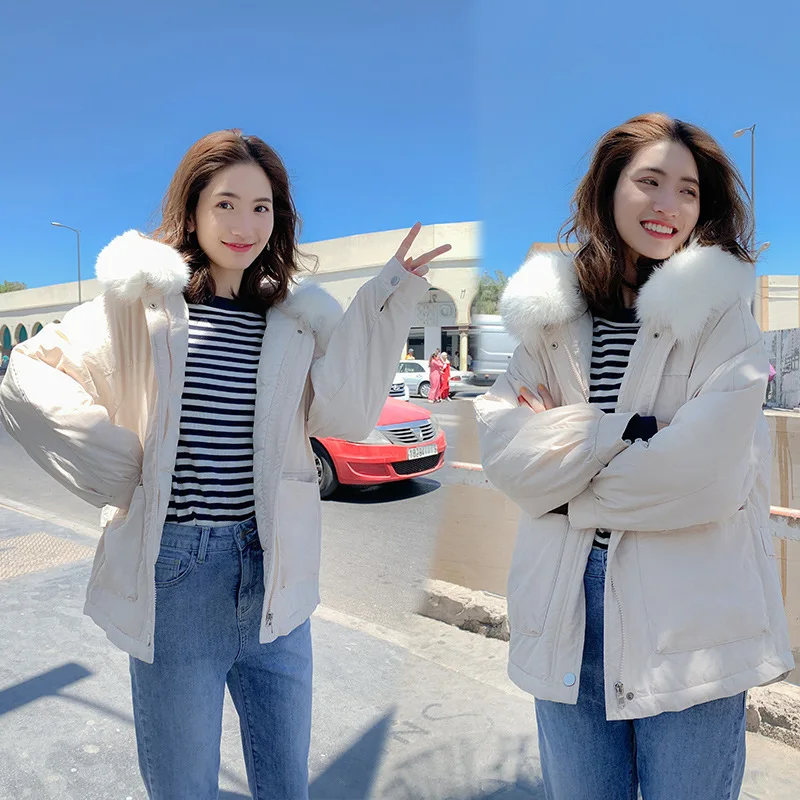

2019 New Style down Jacket Women's Short Long Sleeve Loose-Fit Super Fire INS Students BF down Coat Cotton Overcoat Online Celeb