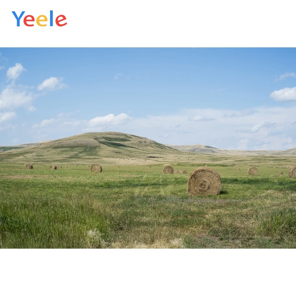 

Yeele Summer Holiday Prairie Green Grass Photography Landscape Backdrops Personalized Photographic Background For Photo Studio