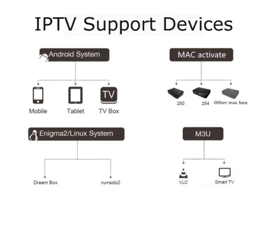 Мировое IPTV приставка susbcription Европа Польша швейцарская Великобритания немецкая голландская Аравия США латинская для Smart tv M3U Android M g взрослая ip tv коробка
