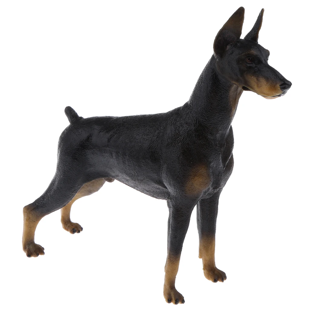 Realistic Doberman Model PVC Farm Animal Model Figurine Action Figures Playset Kids Educational Toy Collectibles