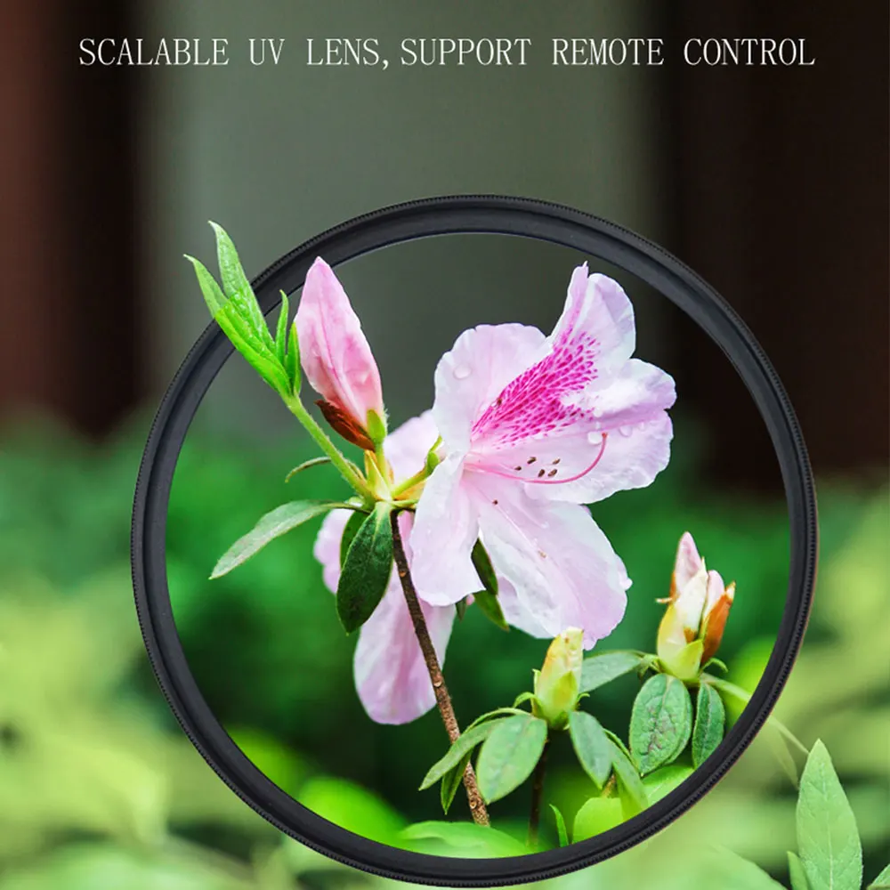 447013_b666ab80e6774dd1a7d42f9dd3c7e614