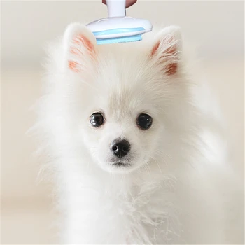 

Pet Hair Removal Brush Dog Accessories Cat Hair Trimming Brush Dual-use Lice Cleaning Tool Professional Pet Comb