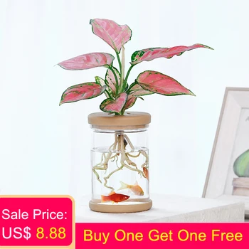 

REMARKABLY Lazy Transparent Flower Pot Hydroponic Automatic Water Absorption Flower Pot Green Dill Soilless Planting Fish Pond