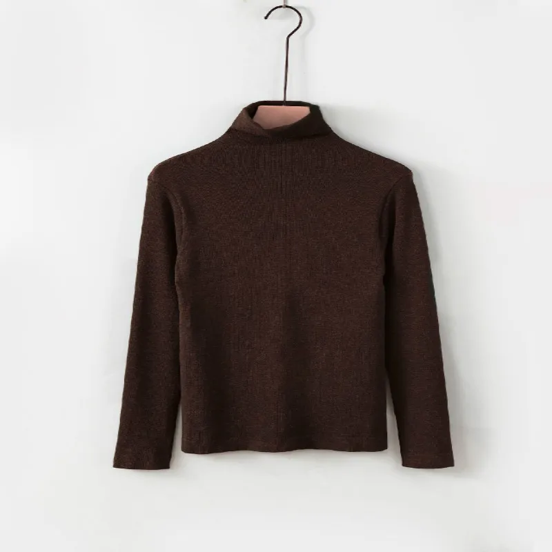 Korean Women Spring and Autumn High-neck Long-sleeved Bottoming Shirt Slim Wild Bamboo Charcoal Cotton Warm Top Bottoming Shirt