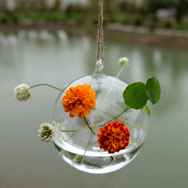 Set Di 6 Vasi Sospesi In Vetro Trasparente Con Corde - Per Fiori, Succulente, Candele, Decorazione Casa E Giardino