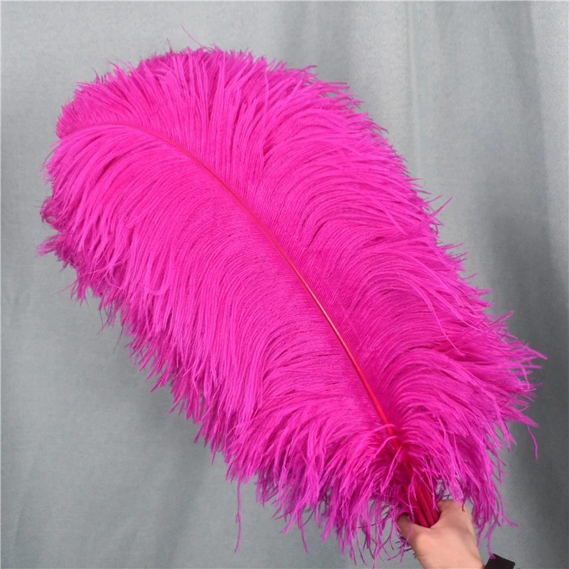 Big Pole Ostrich Feather Pink Feathers 10 Pcs 60-65 Cm/24-26 Inches Natural  Feather For Wedding Decorations - Feather - AliExpress