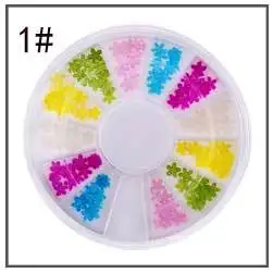 Manicure Decorations Wholesale 2 Mm 3 Mm Semicircle Pearl round Plates White Beige Pearl 12 Grid Turntable Accessories