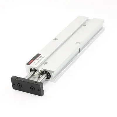 

10mm Bore 100mm Stroke Double Action Twin Rod Cylinder