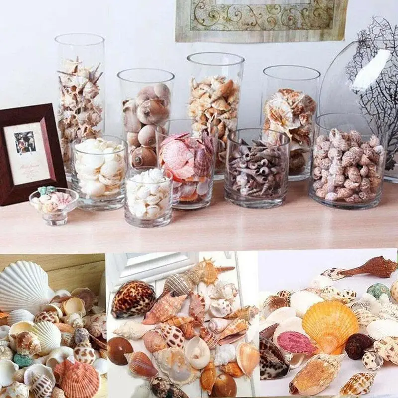 

1 Bag Natural Mix Aquarium Beach Nautical DIY Shells Mixed Bulk Sea Shells tank landscape decoration micro-landscape ornaments
