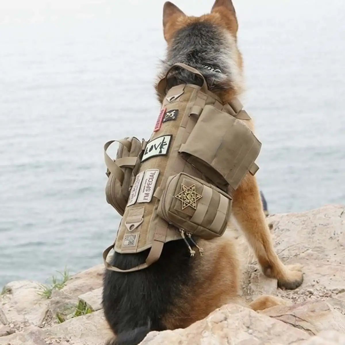 Водонепроницаемый военный армейский тактический жилет для собак модульный жилет для собак военная одежда для собак тренировочный несущий жилет для охоты