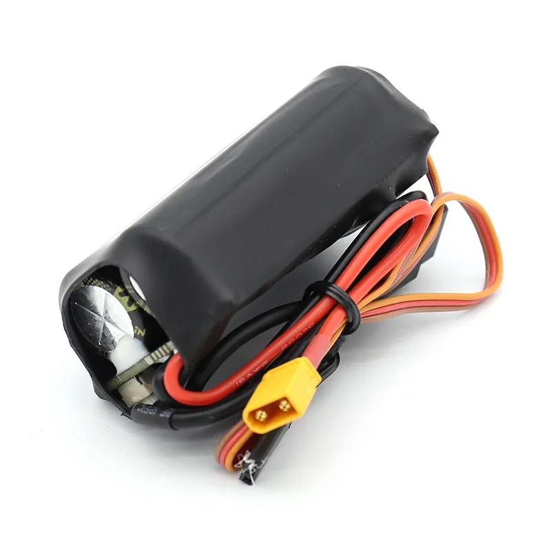 HORSE PENTIUM METTLED HORSE RESIN STATUE HOME