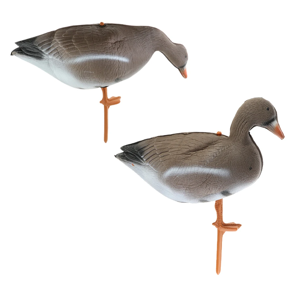 Slide image 6630e468a87b46de81f66b3ea3fd9a30