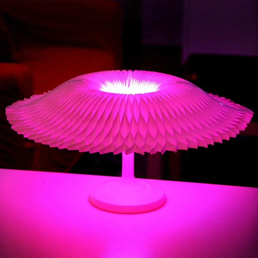 PEC91224003_1038450867485589494