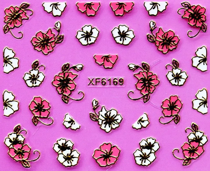 XF6169