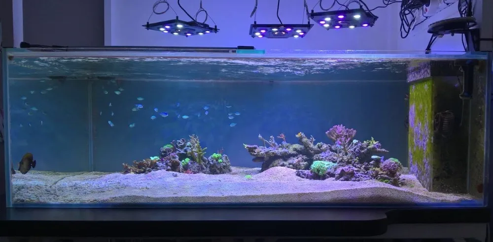 WP_20170415_20_07_54_Pro