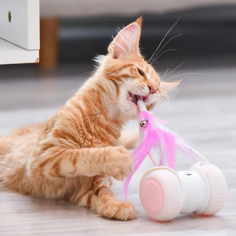 Pet Electric Smart Balance Led Luminous Remote Control Car Funny Cat Toy Gray Feather Smart Robot Interactive Cat Toys Pet Electric Smart Balance Led Luminous Remote Control Car Funny Cat Toy Gray Feather Smart Robot Interactive Cat Toys
