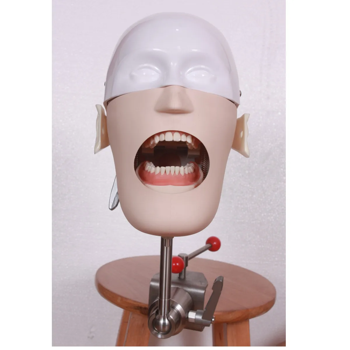 

2019 high quality New Stainless Steel Head Model Dental Manikins Phantom Dental Training Simulator Medical Science Model