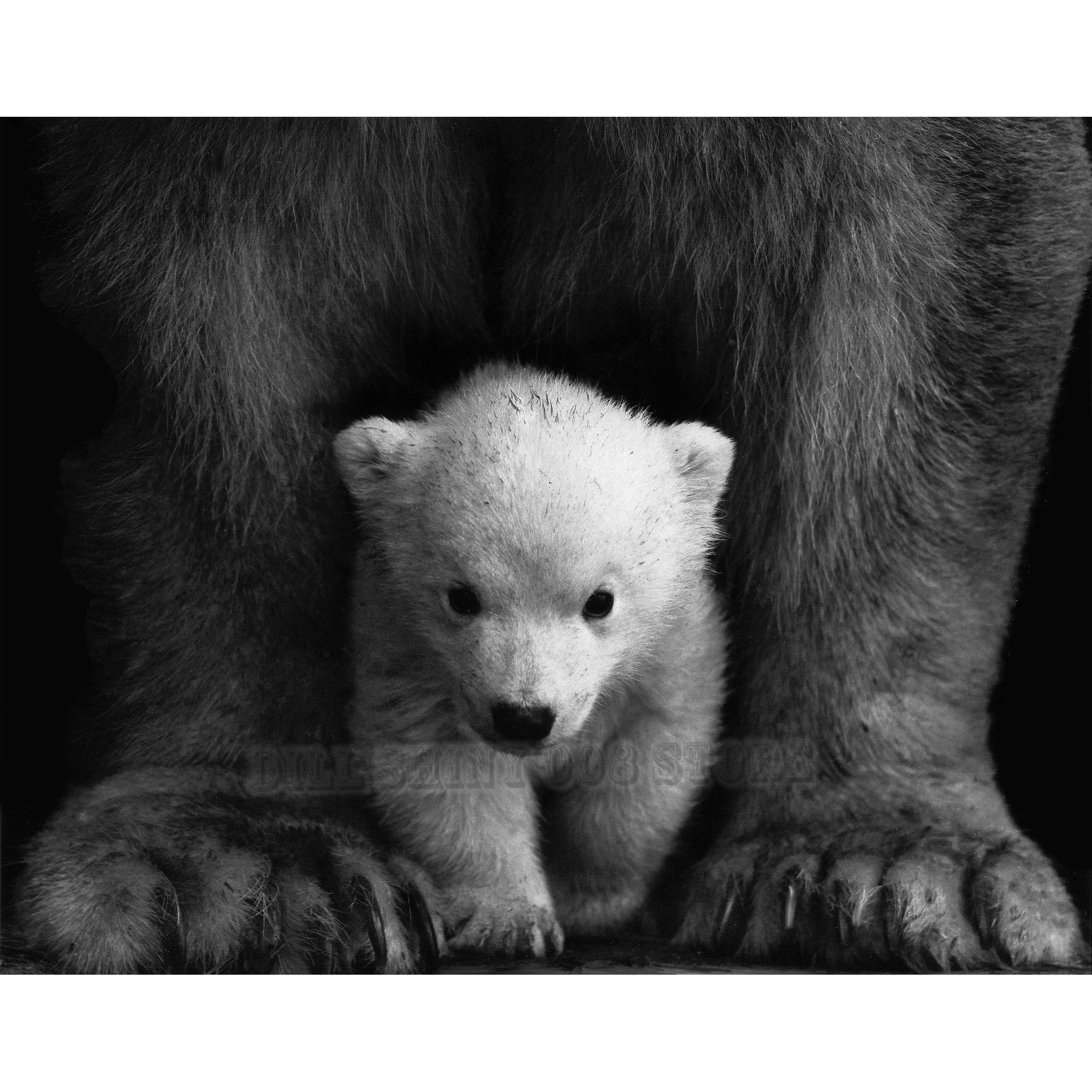 

5D DIY Diamond Painting "Mother Son Bear" 3D Full Drill Diamond Embroidery Cross Stitch Home Decor Needlework Religion Icon Gift