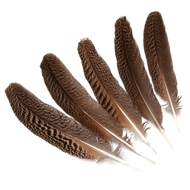 Wholesale10PcsLotnaturalrealowleaglefeathers2540CM1016PheasantfeatherForCrafts.jpg