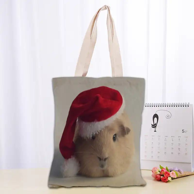 guinea pig handbag