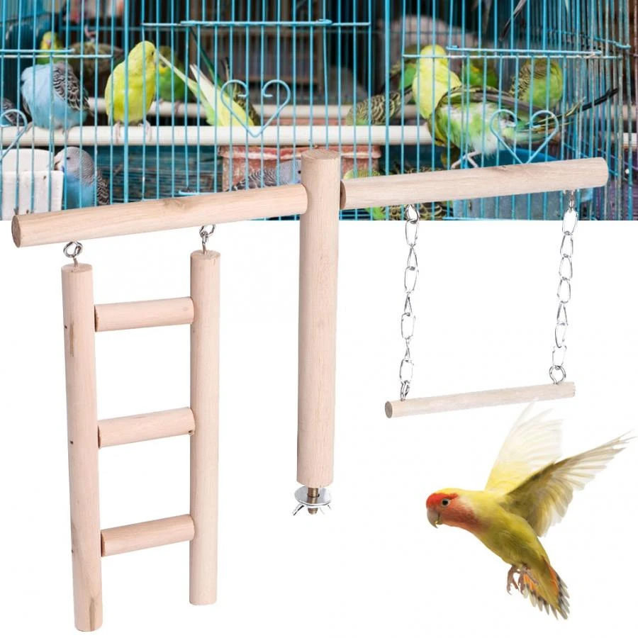 pet bird supply store