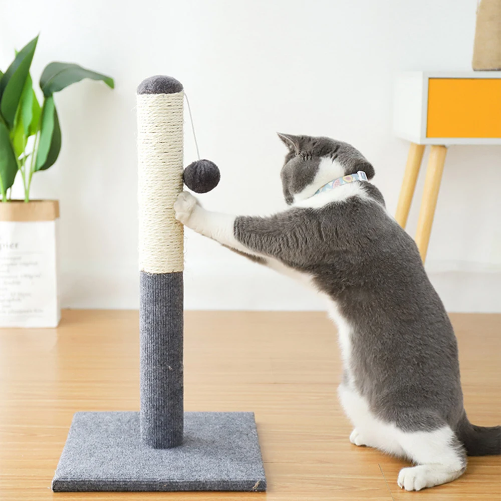 고양이 긁는 포스트 시살 고양이 나무 새끼 고양이 발톱 그라인딩 장난감, 고양이 가구 구원자 시살 긁는 패드 보드, 애완 동물 점프 장난감