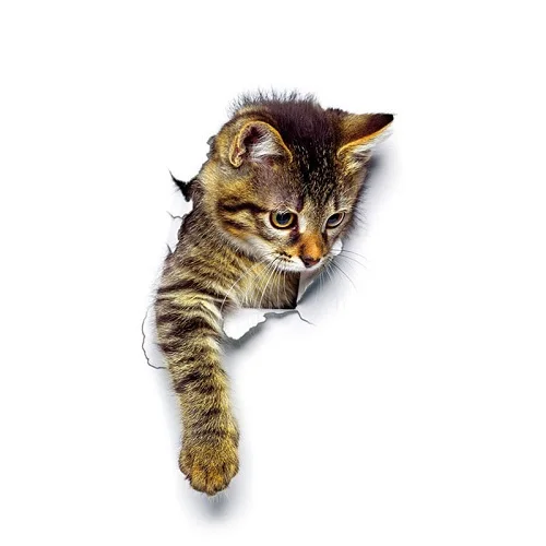 1 шт. кошка яркий 3D разбитый переключатель на стену с наклейками ванная комната туалет Kicthen декоративные наклейки смешной анимальный декор плакат ПВХ настенное искусство - Цвет: XH2003