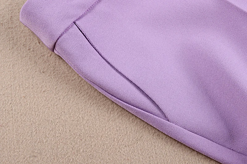 Nieuwe herfst dames kleine geur paars jasje pak vrouwelijke Professional dragen tweedelige lente en herfst mode Vrouwen set