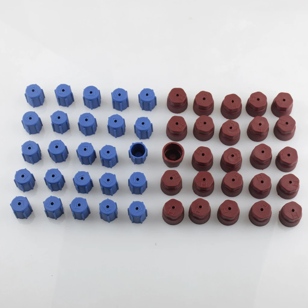 50 Pieces AC A/C Charging Port Service Caps R134a R12 13mm & 16mm Red Blue