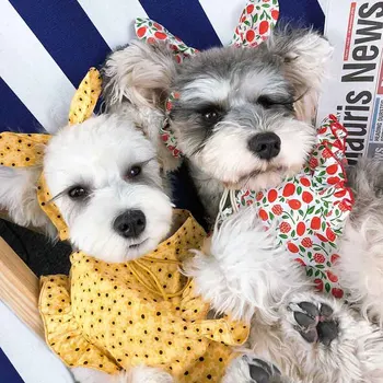 

Dog clothes summer thin section small dog floral lotus leaf cute princess net red section teddy schnauzer dress pet outfit