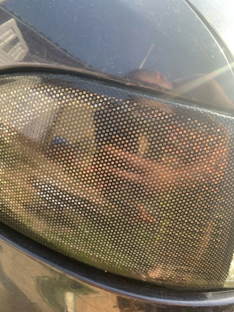 Ub68452420ce44e0db03d96d8319db9270