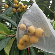 

15/25/35/60 Cm Fruit Protect Net Bag Nylon Easy Clean Reuse Gauze Bag Breathable Garden Plant Mesh Durable Anti Insect Fly Bird