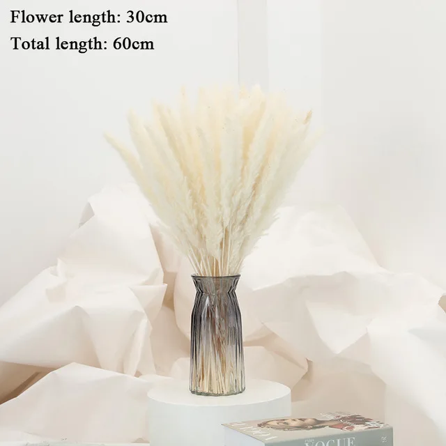 10-Pcs-Pampas-Grass-Real-Dried-Plants-Decor-Wedding-Flower-Bunch-Natural-Plants-Decor-Flowers-Free.jpg_640x640 (3)